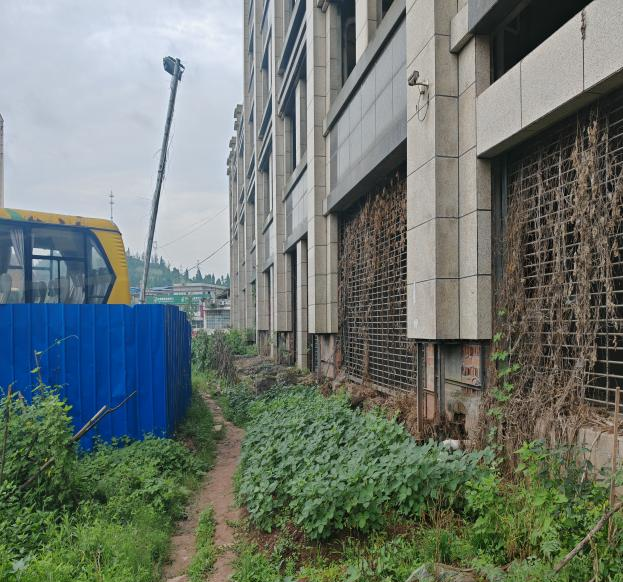 1764212772464111.png 1764212772464111.png